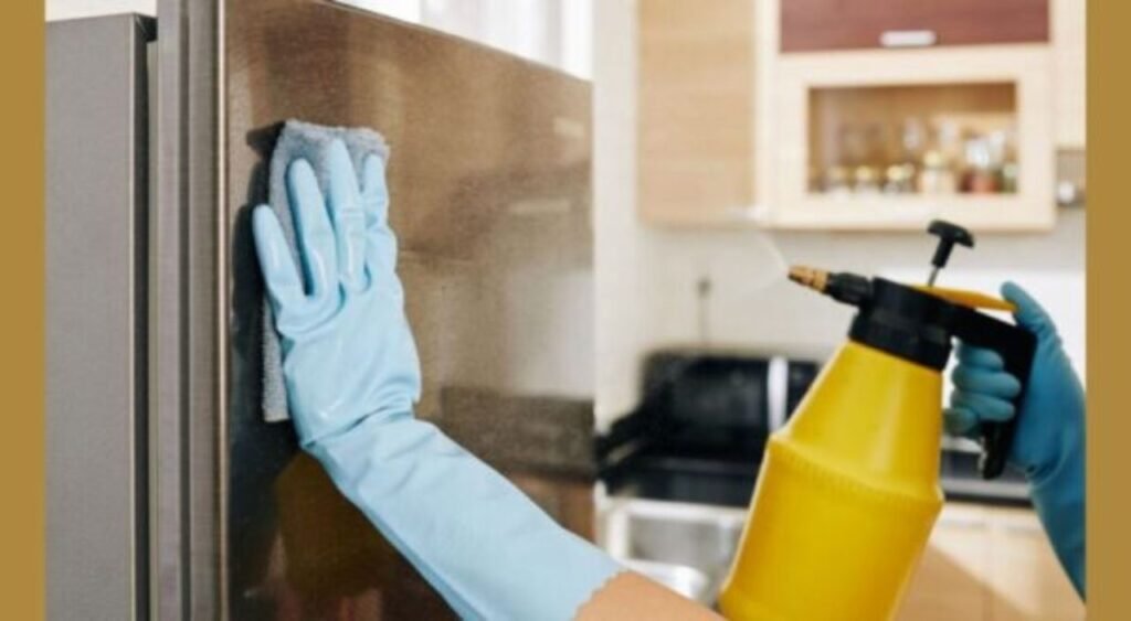 Limpeza de Geladeira